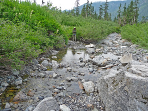 Walter at creek source Big 4 ice caves