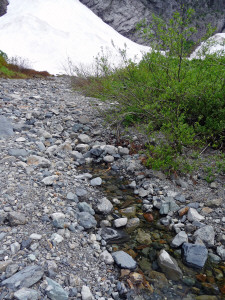 Creek Source at Big 4 Ice Caves