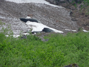 Ice Caves in distance at Big 4 Ice Caves