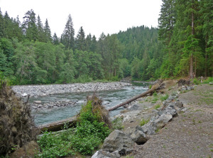 Gold Basin Campsite that fell into the Pilchuck River