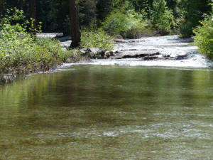 Icicle Creek over the road close up