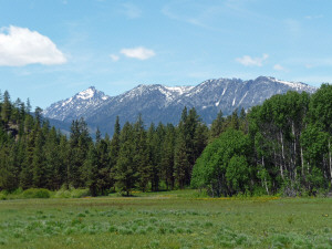 Mountain View from Camas Meadows