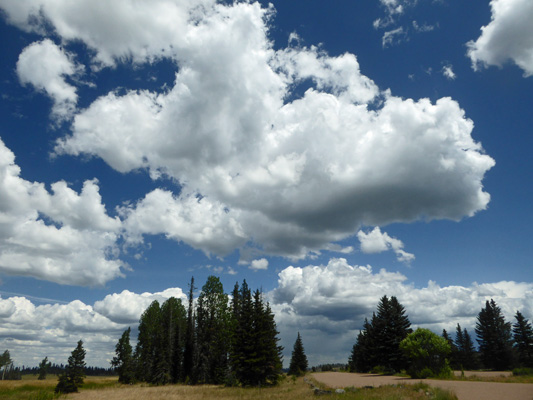 Puffy white clouds on blue sky