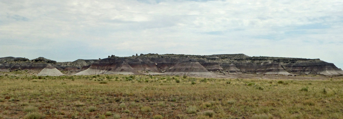 Petrified Forest National Park