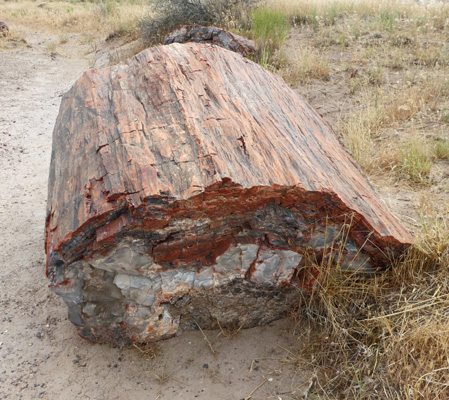 Petrified log