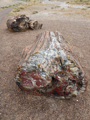 Petrified log