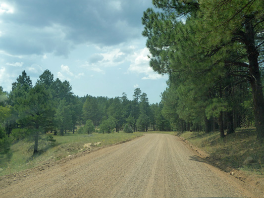 Black Canyon Rd