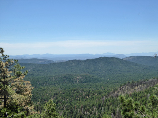 Mogollon Rim Visitor Center