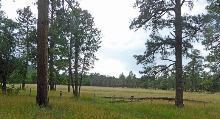 Meadow at Los Burros