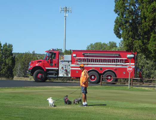 Timber Mesa Fire Truck