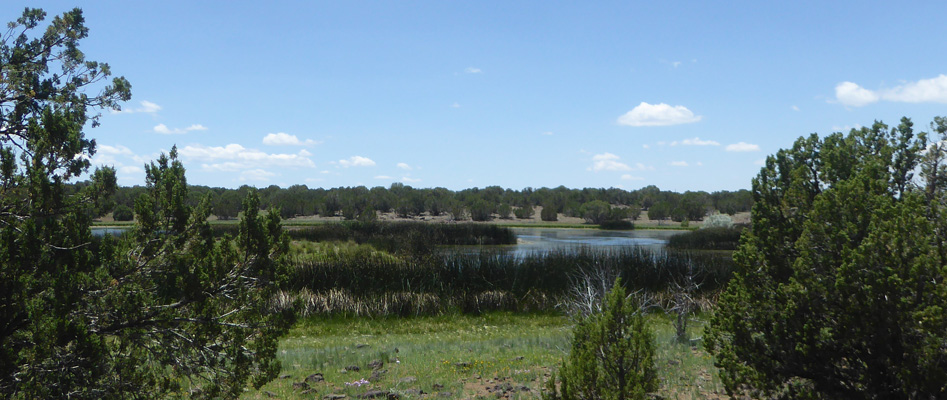 Pintail Lake