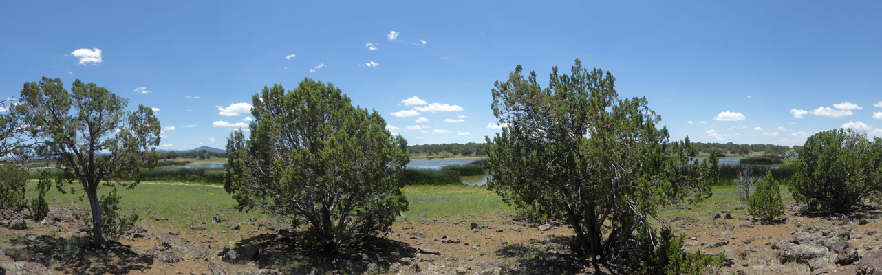 Pintail Lake