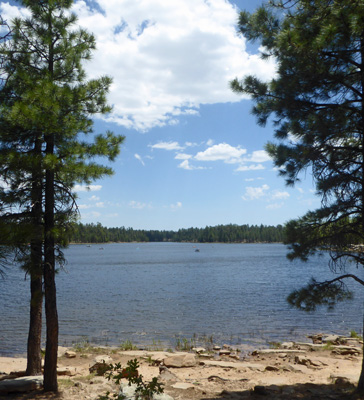 Willow Spring Lake