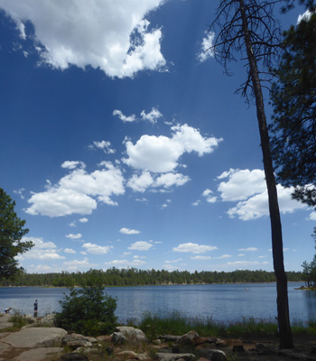 Willow Spring Lake