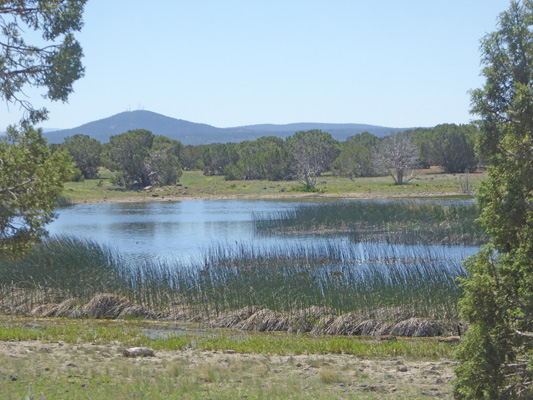 Pintail Lake