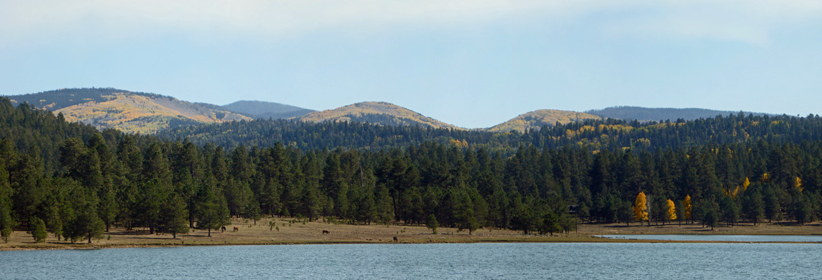 Mts with yellow aspens