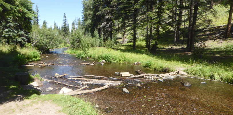 West Fork Little Colorado River