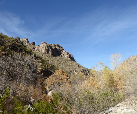 Sabino Canyon