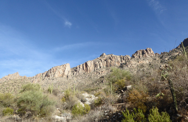 Sabino Canyon