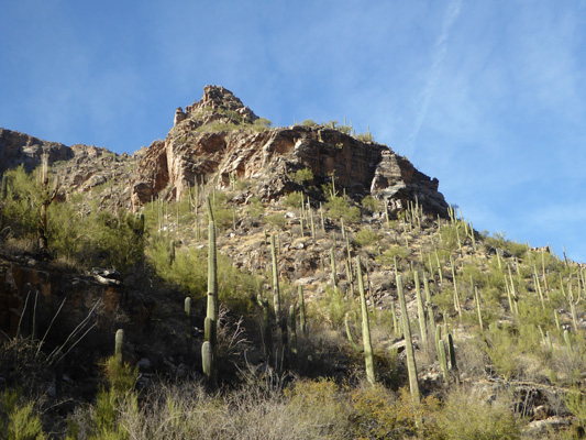 Sabino Canyon