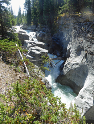 Maligne Canyon