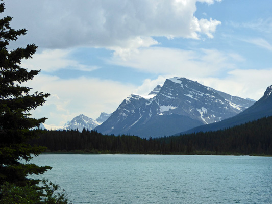 Waterfowl Lake Icefields Parkway