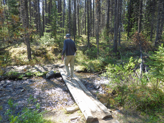 Moose Lake Trail bridge