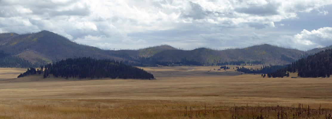 Valles Caldera panorama