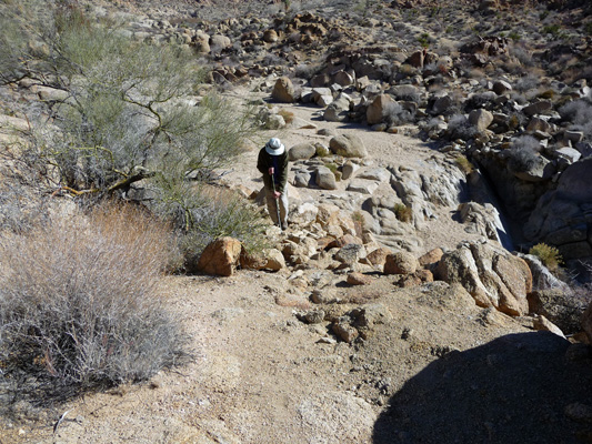 Walter Cooke on Little Chilcoot Pass Rd Joshua Tree NP