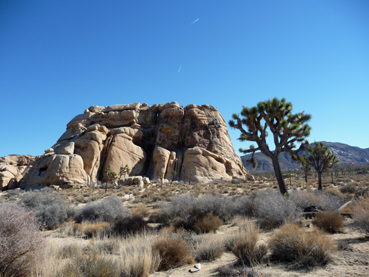 Joshua Tree, Monzogranite rock Joshua Tree National Park