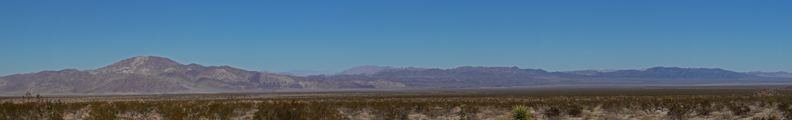 Pinto Basin Joshua Tree National Park CA