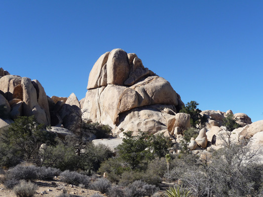 Wall Street Mill area Joshua Tree National Park