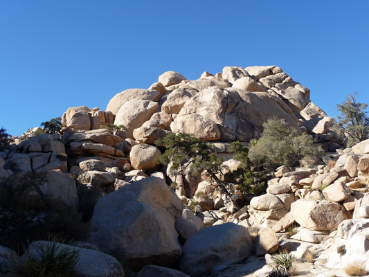 Trail out to Astrodomes Joshua Tree NP