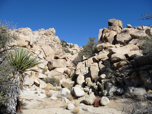 Trail to Astrodomes Joshua Tree NP