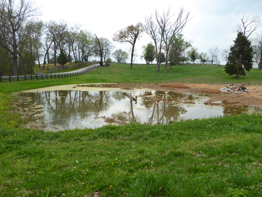 Pond Beech Bend Park