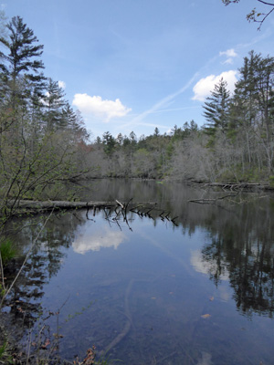 Byrd Lake Cumberland Mt SP