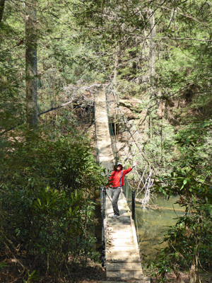Walter Cooke suspension bridge Cumberland Mt SP