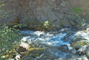 Cascading creek at lunchtime