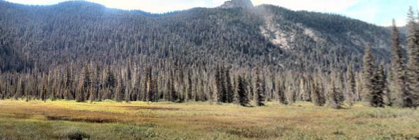 Panorama of Tucquala Lake Meadow