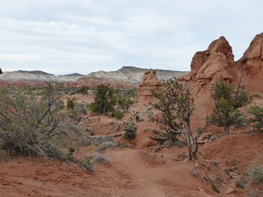 Shakespeare's Arch Trail