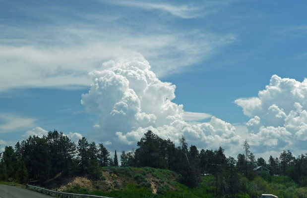 Thunderheads Donnelly ID