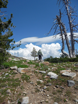 Walter Cooke above Potters Pond ID