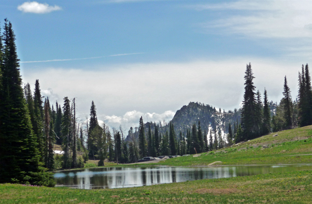 Potter's Pond ID