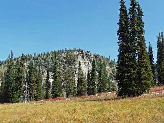 Along trail to Blue Lake ID