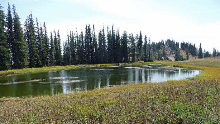 Potter's Pond Snowbank Mt ID