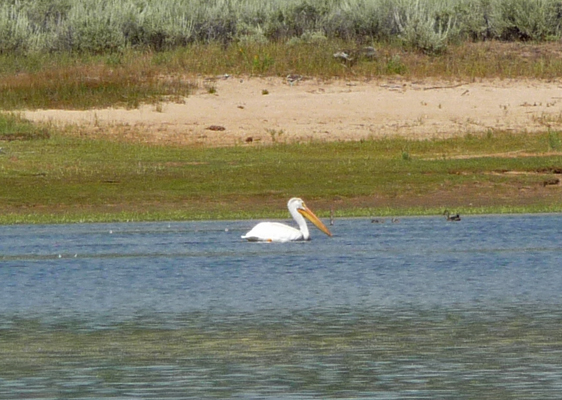 Pelican Lake Cascade SP