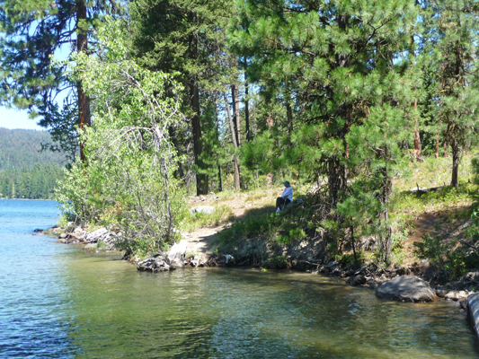 Walter Cooke Duck Bay Ponderosa SP