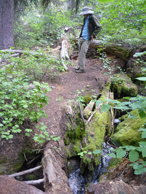 Walter Cooke and creek crossing