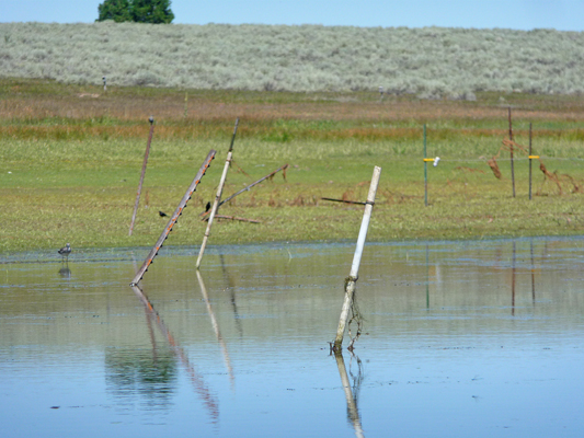 Fence coming out of lake water no wire