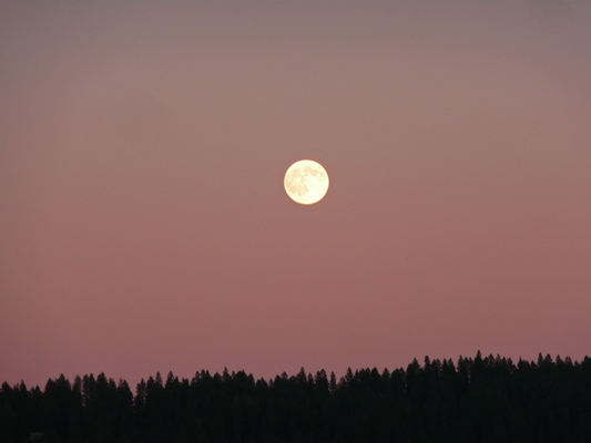 Full moon against a rosy sky